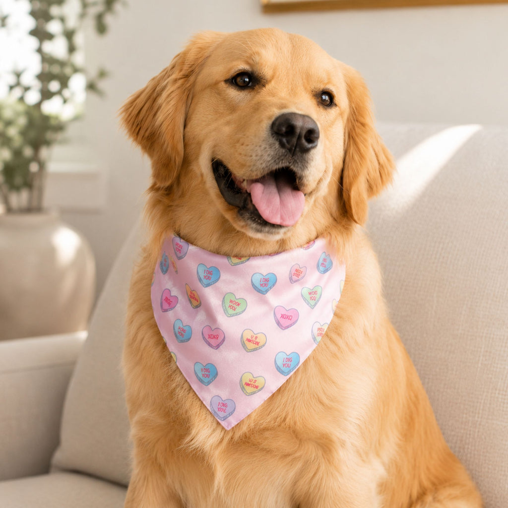 Candy Heart Pet Bandana