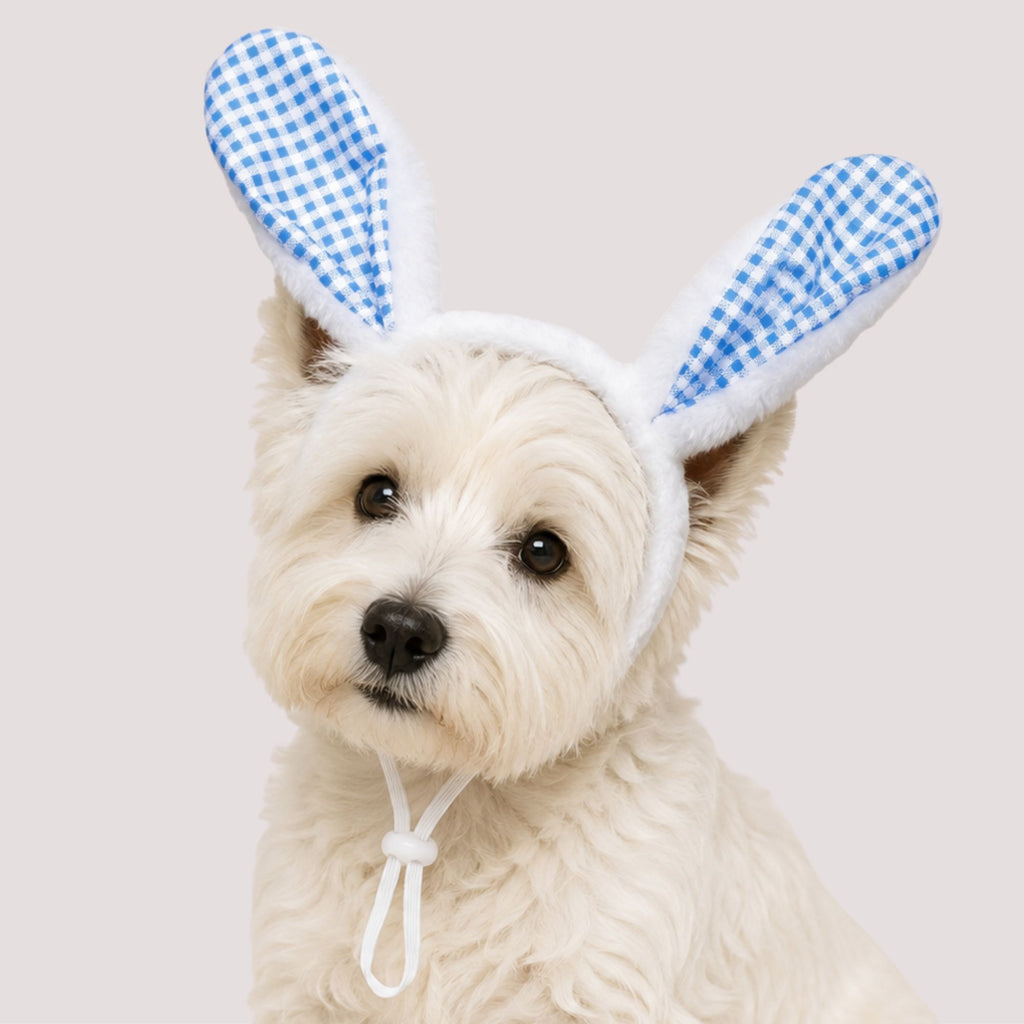 Bunny Ear Pet Headband