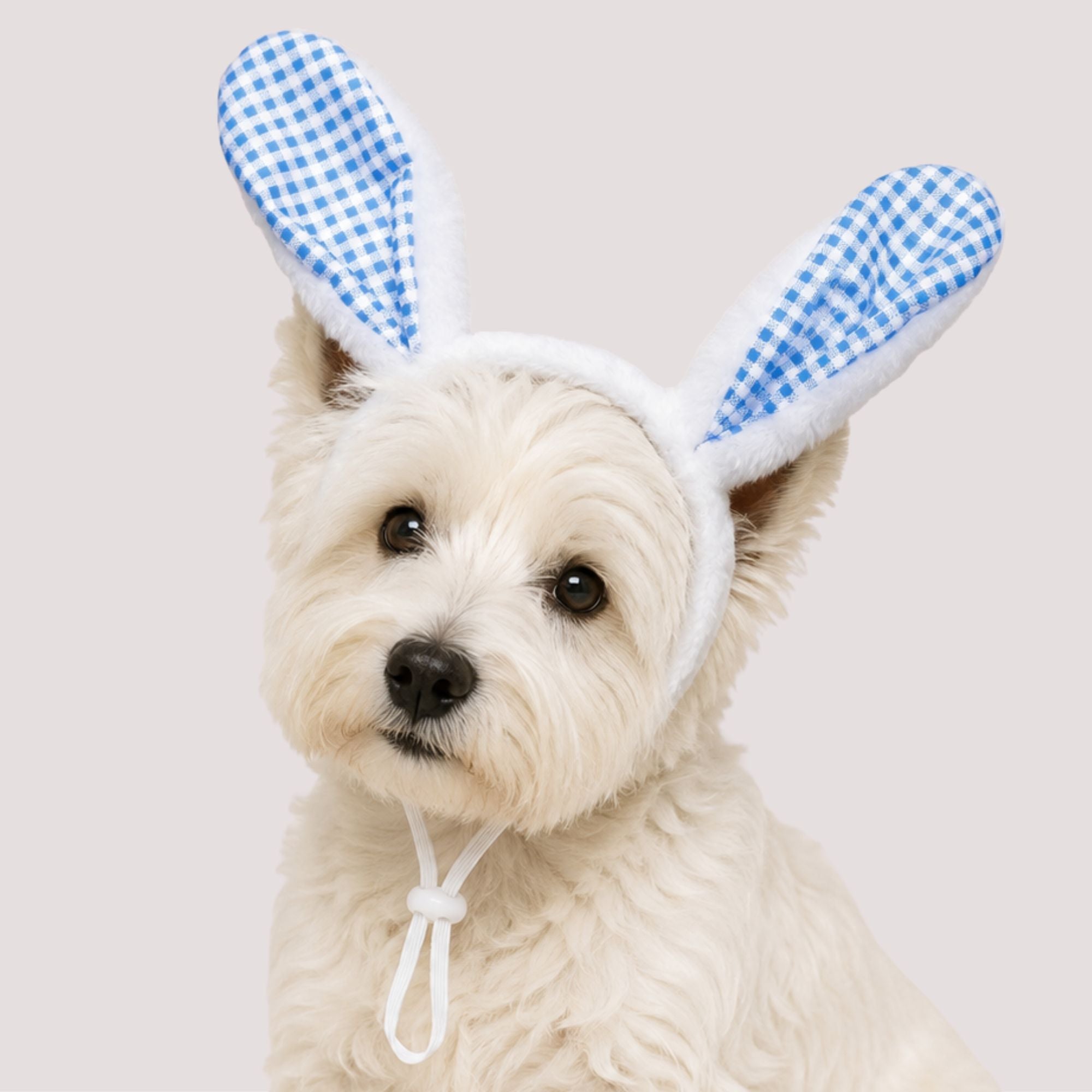 Bunny Ear Pet Headband