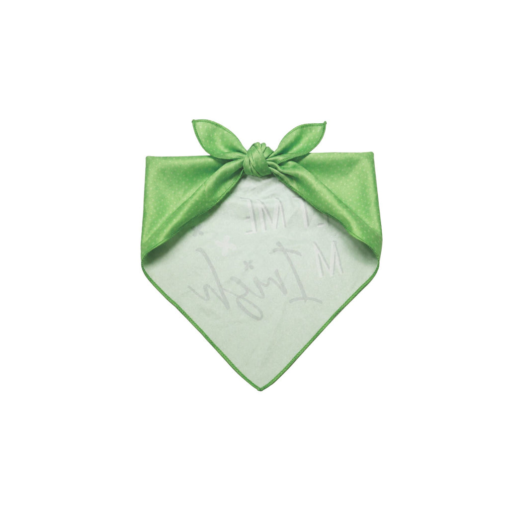 Pet Me I'm Irish Pet Bandana