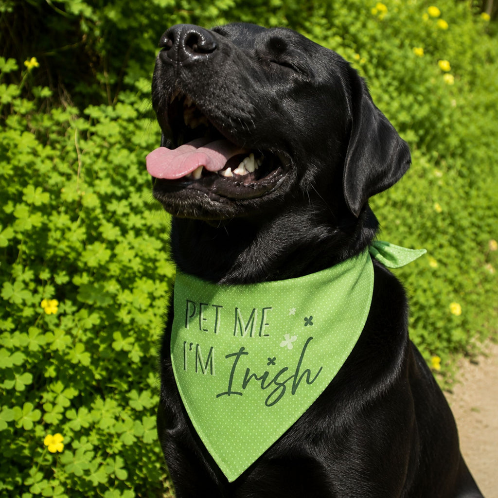 Pet Me I'm Irish Pet Bandana