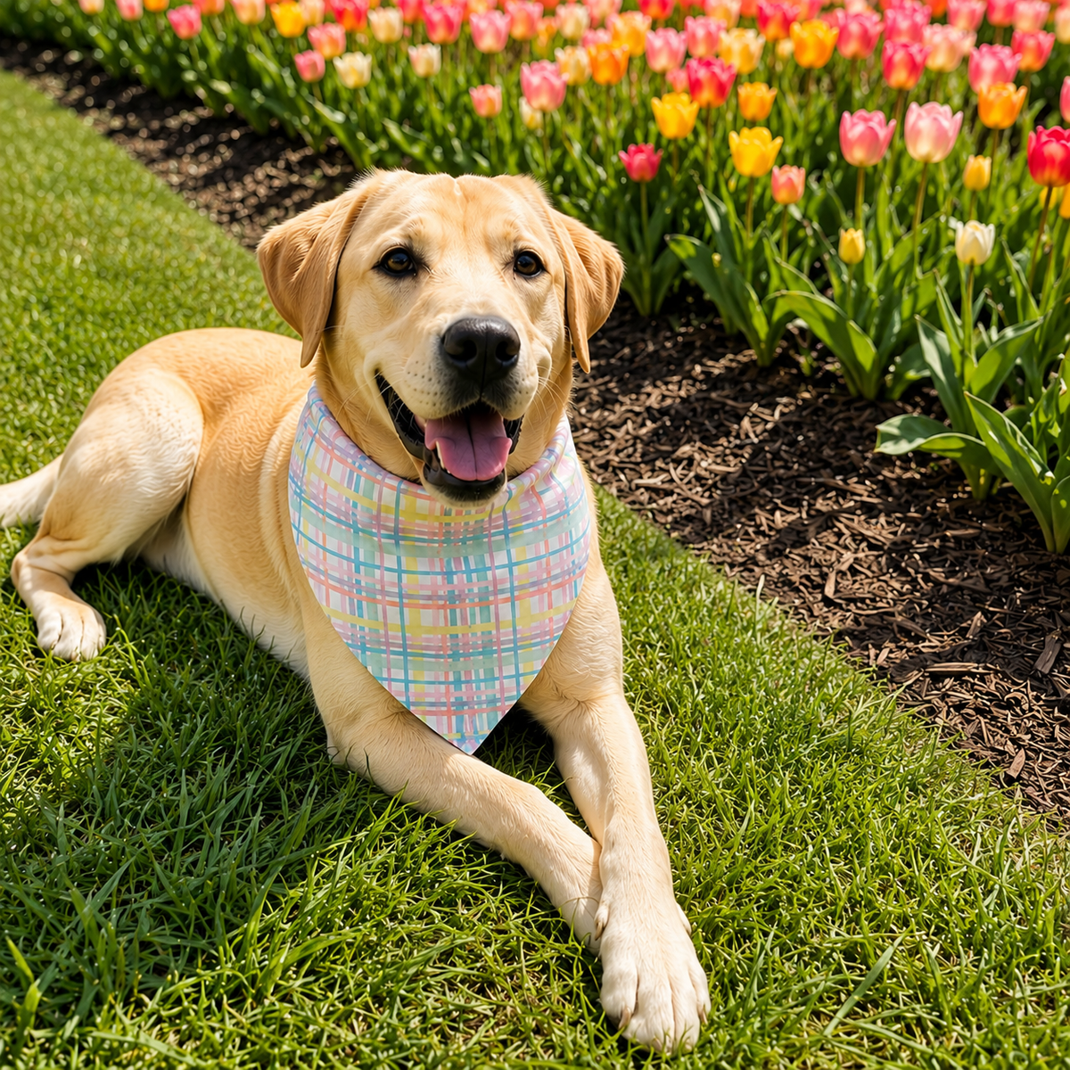 Pastel Plaid Pet Bandana