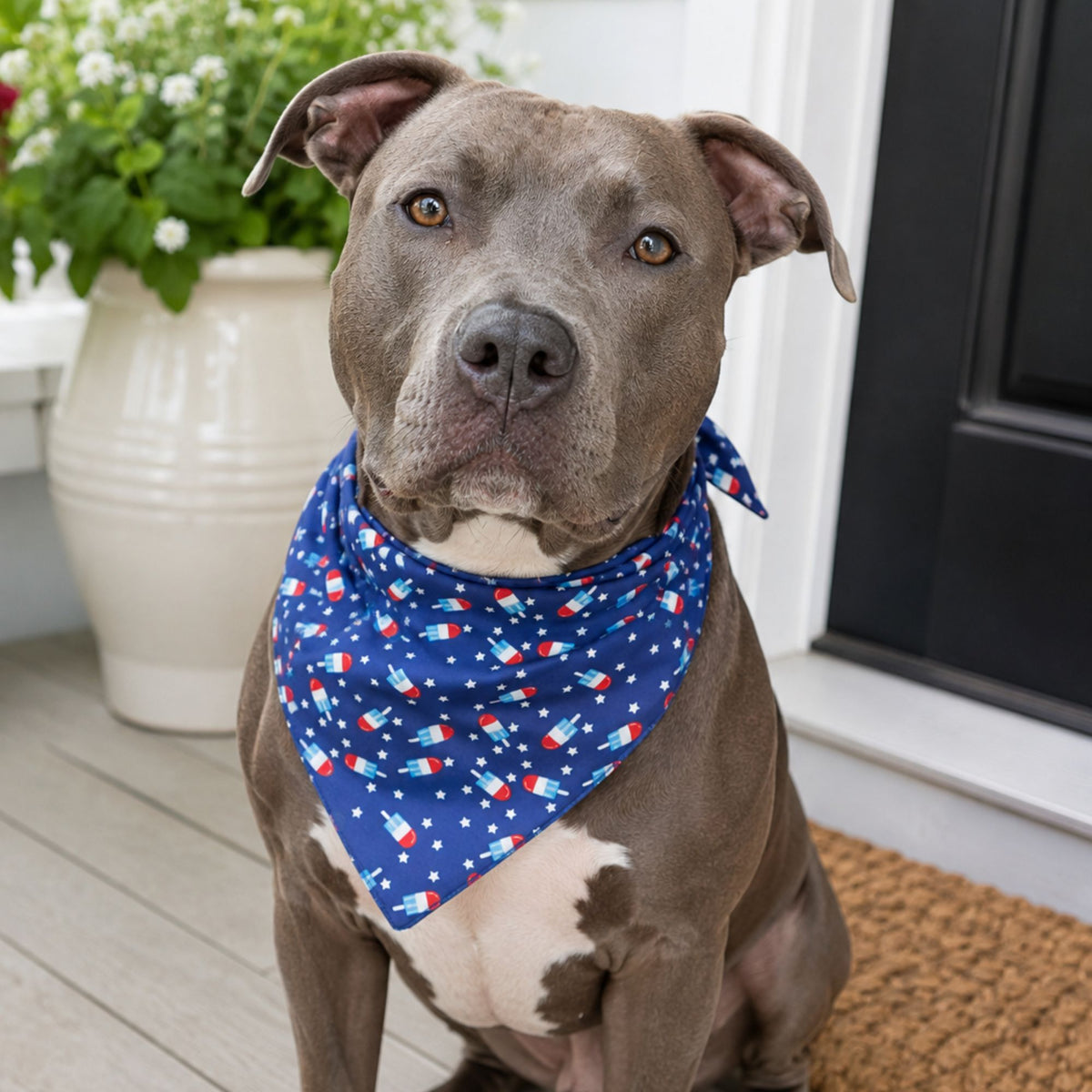 Popsicle Pet Bandana
