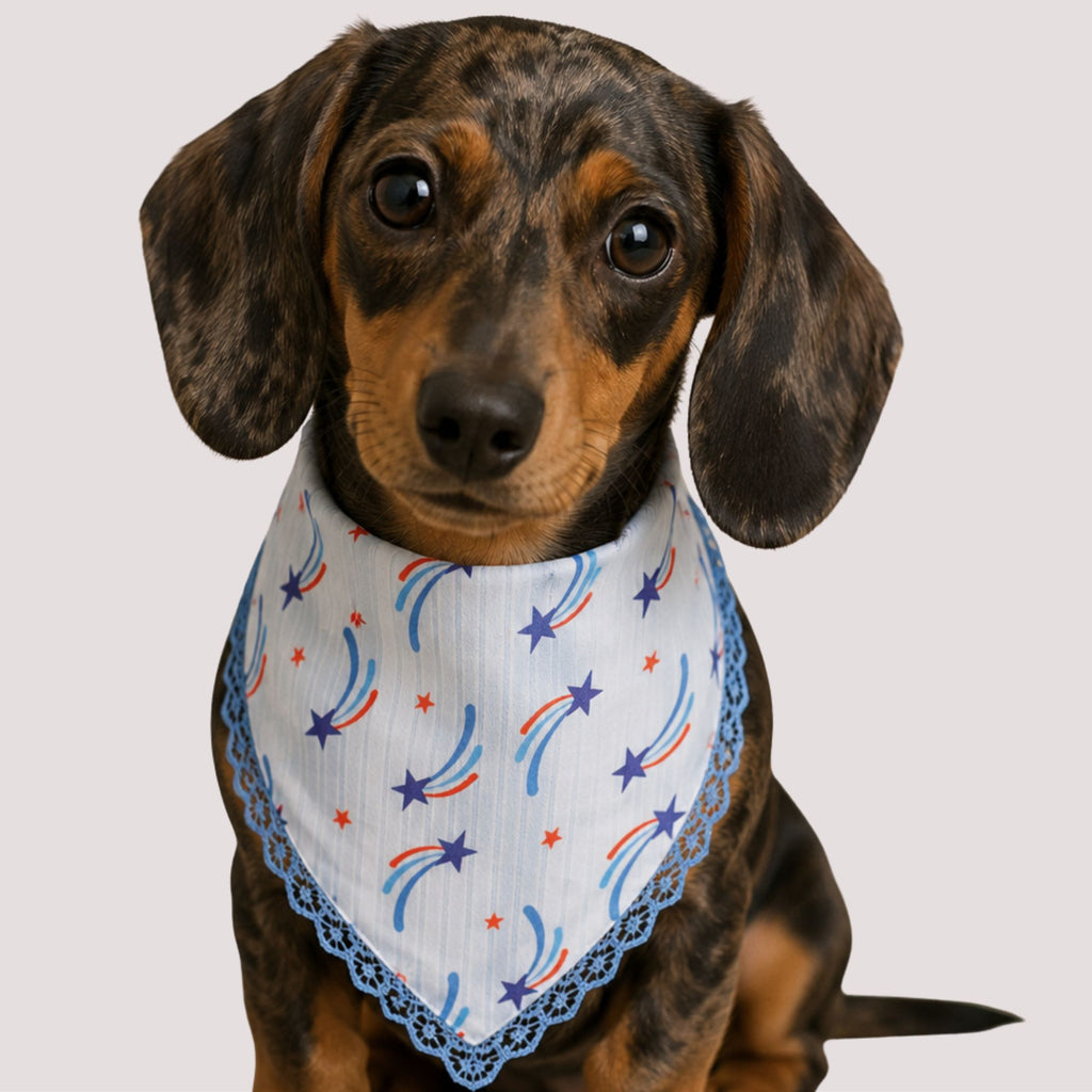 Stars & Stripes Pet Bandana