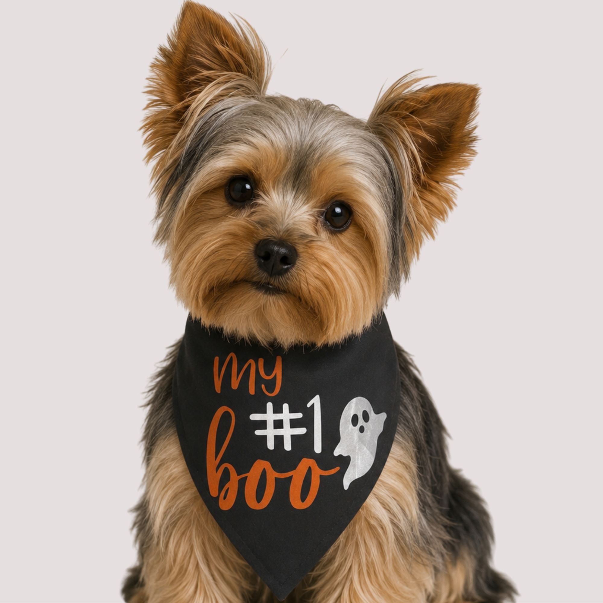 My #1 Boo Pet Bandana