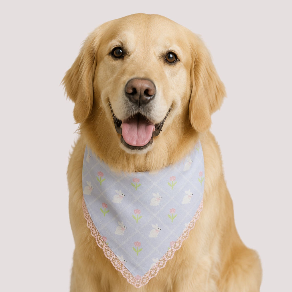 Bunny Floral Pet Bandana