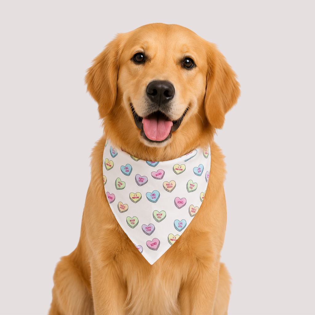 Candy Heart Pet Bandana