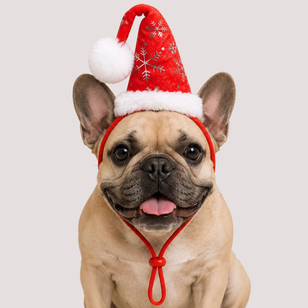 Santa Hat Pet Head Band