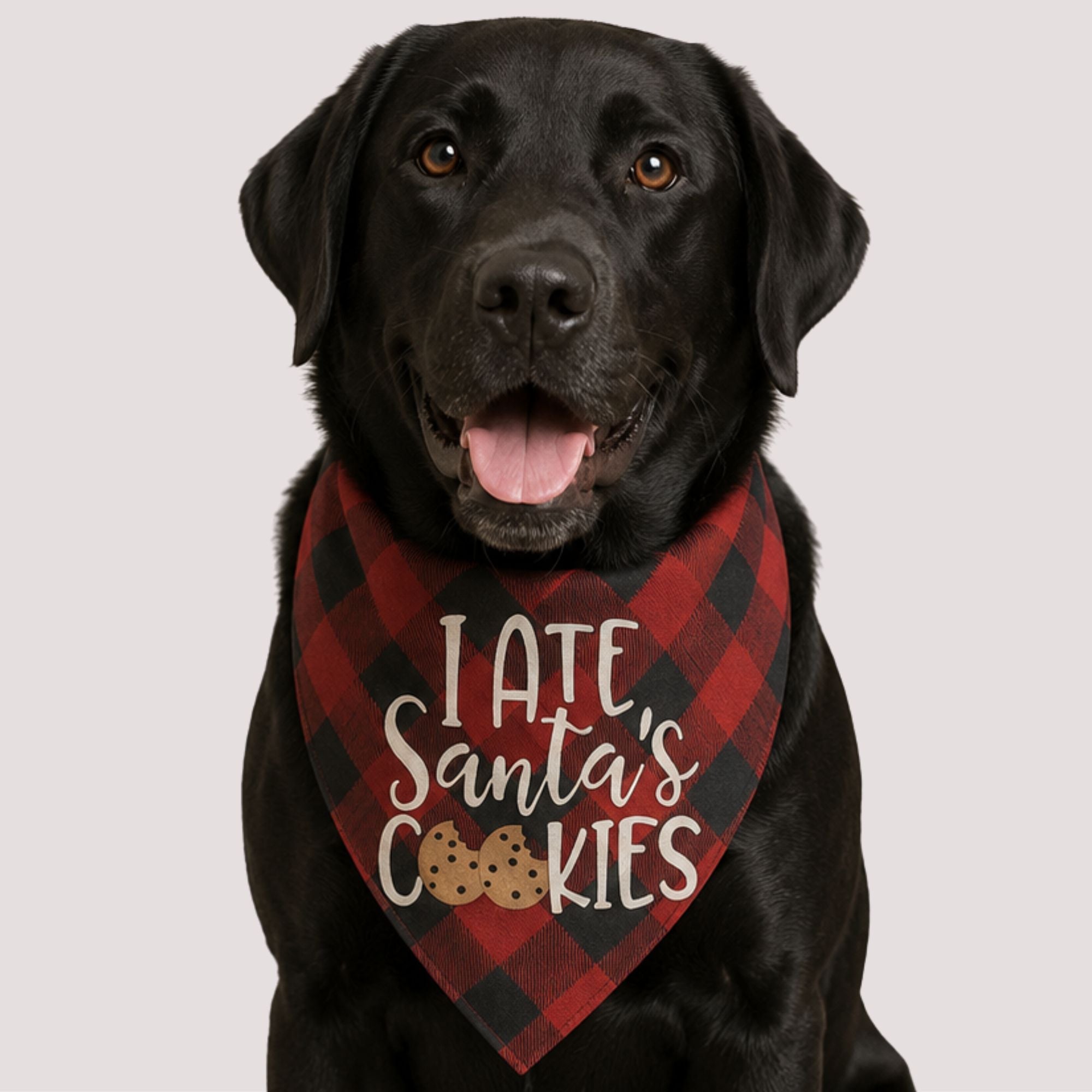 Santa's Cookies Pet Bandana