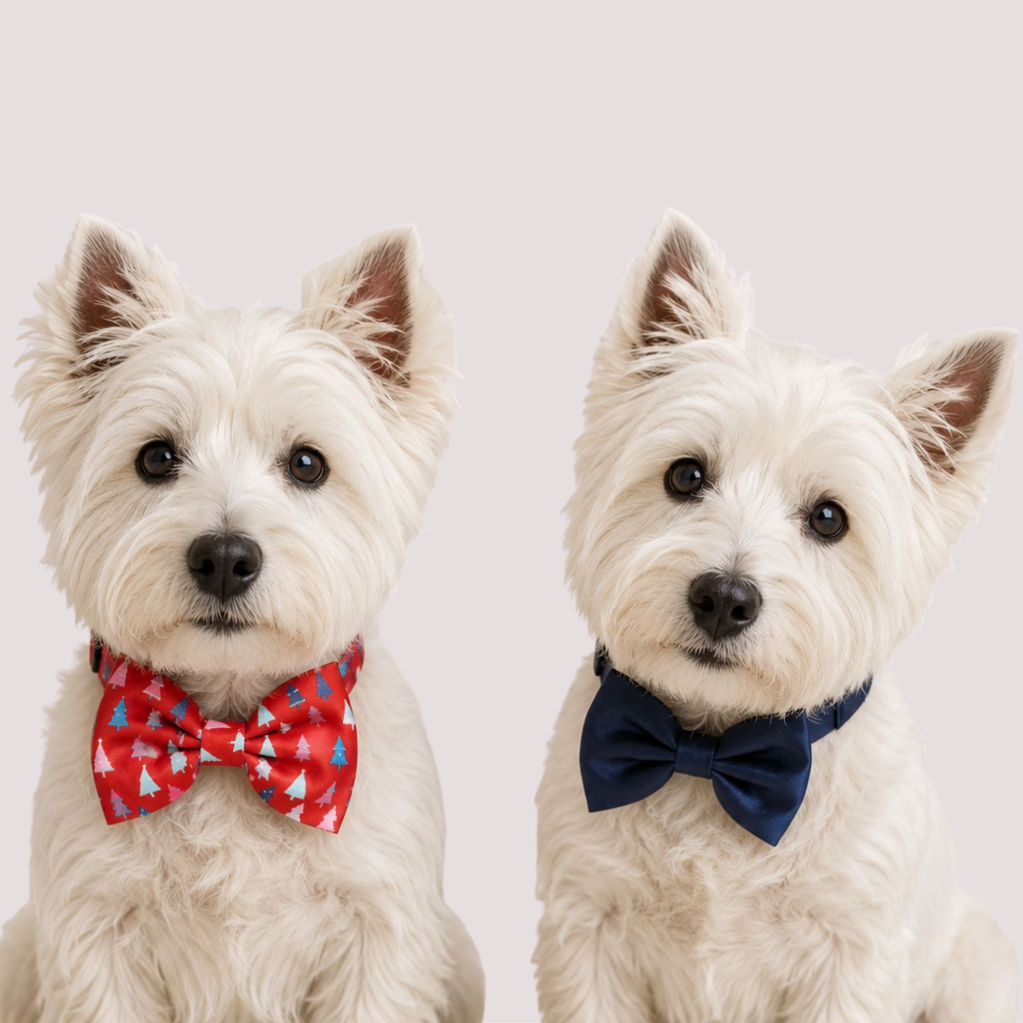 2Pc Christmas Tree Pet Bow Set