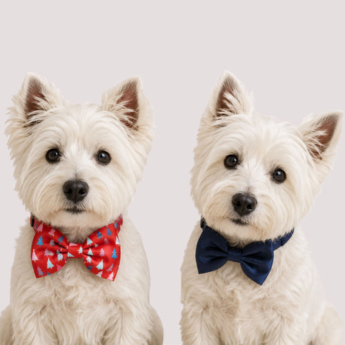 2Pc Christmas Tree Pet Bow Set