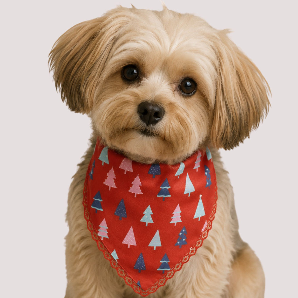 Christmas Tree Pet Bandana