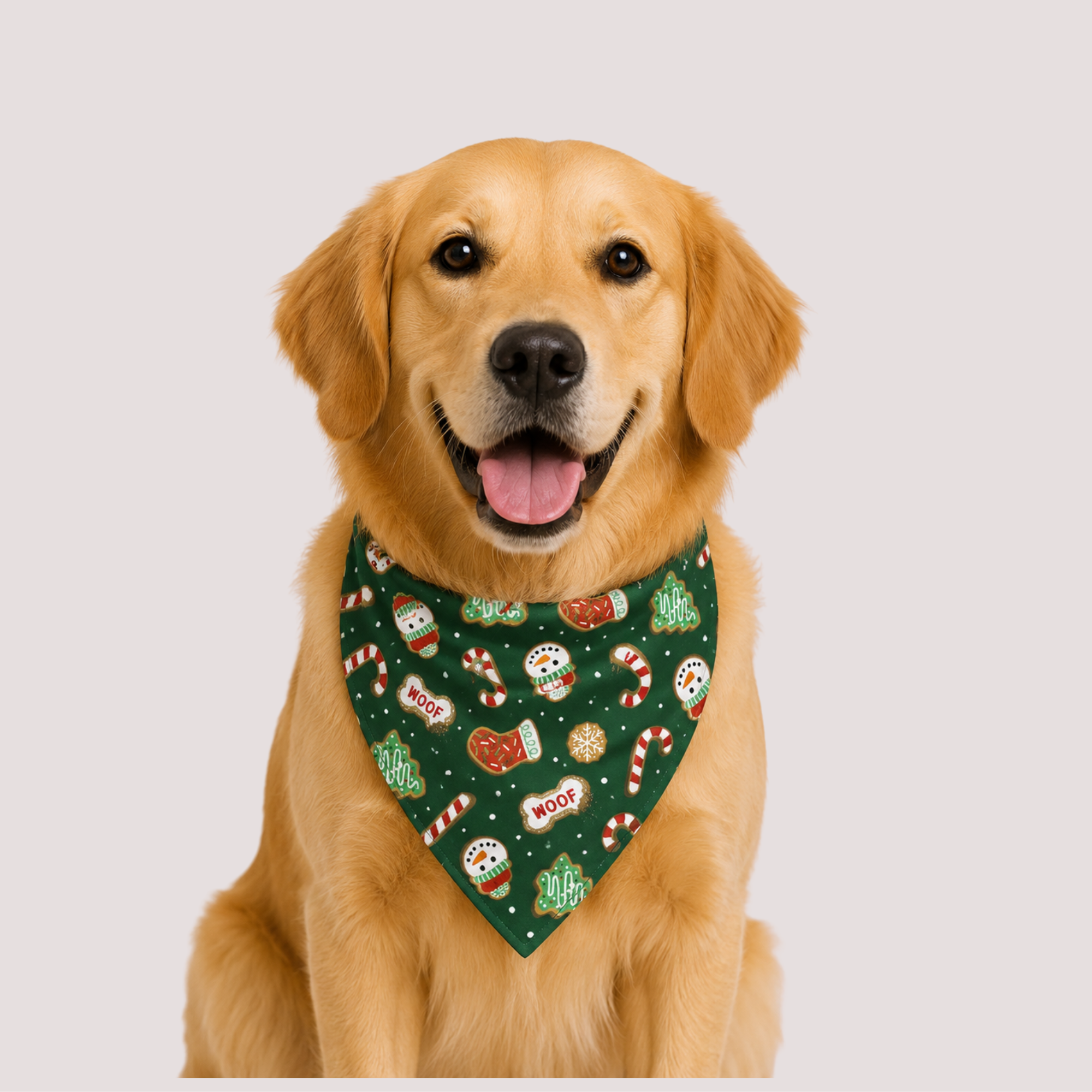 Stocking & Candy Cane Pet Bandana