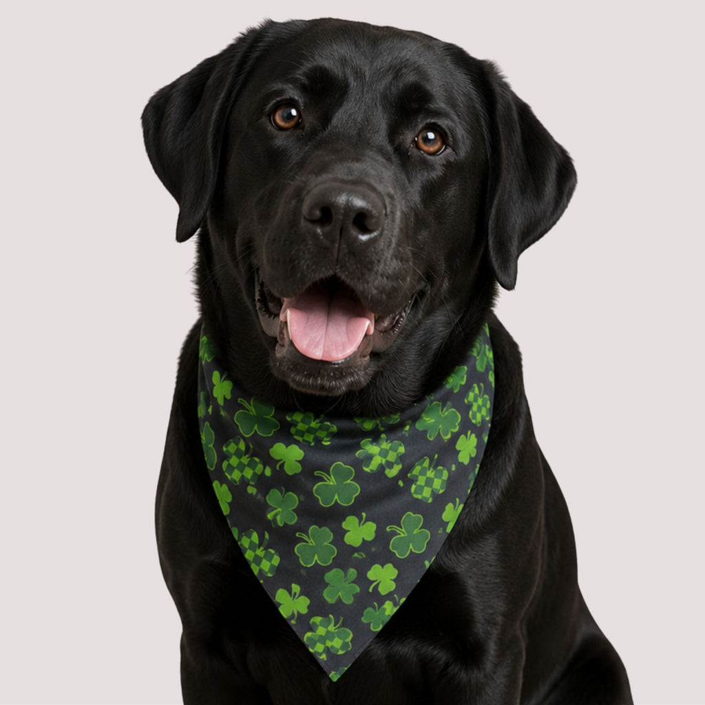 Clover Pet Bandana