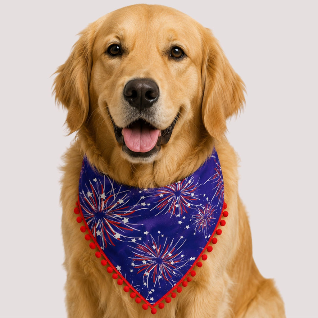 Firework Pet Bandana