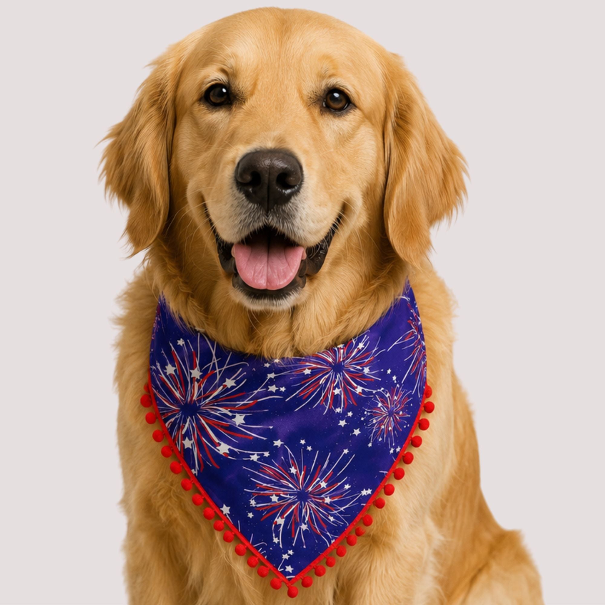 Firework Pet Bandana