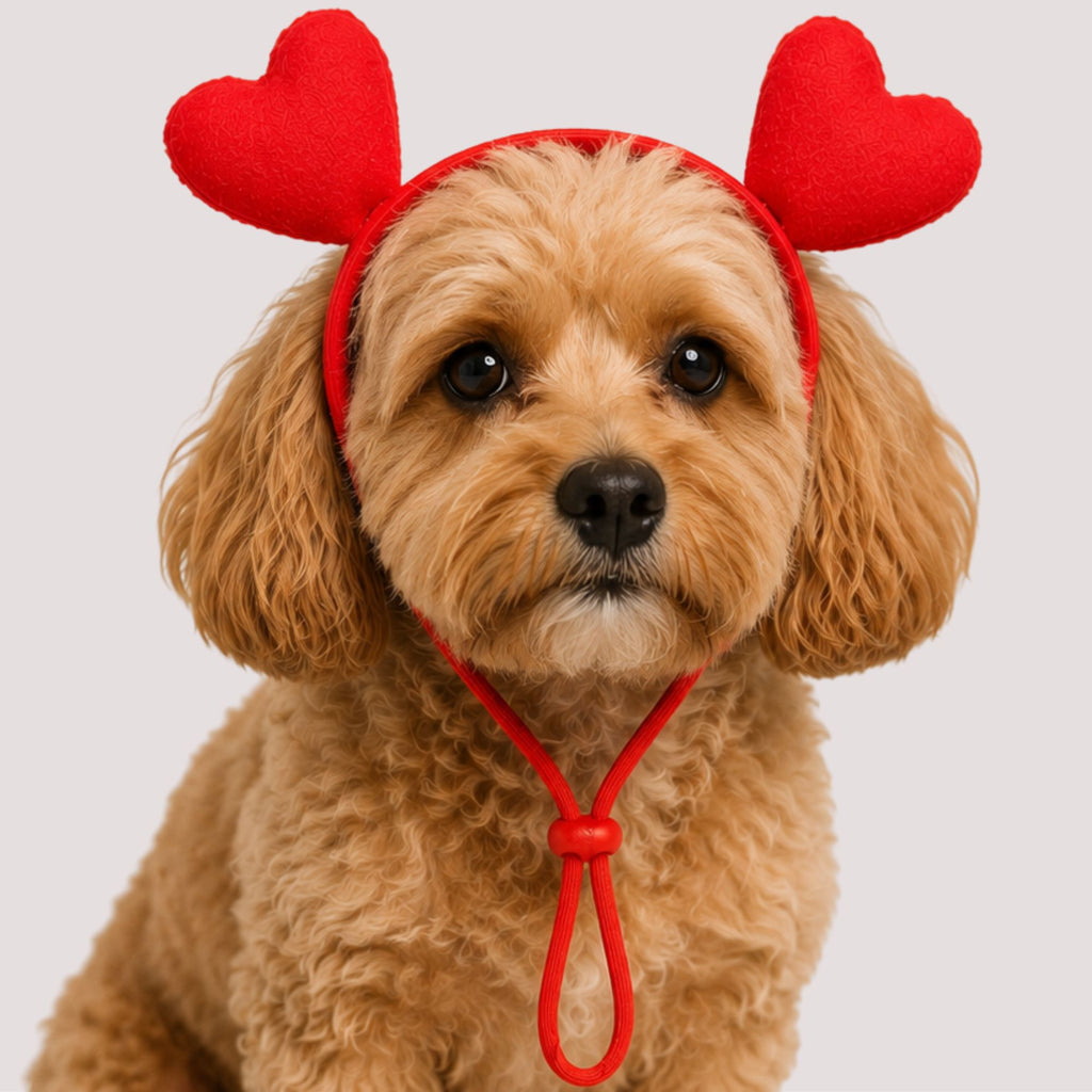 Heart Pet Headband