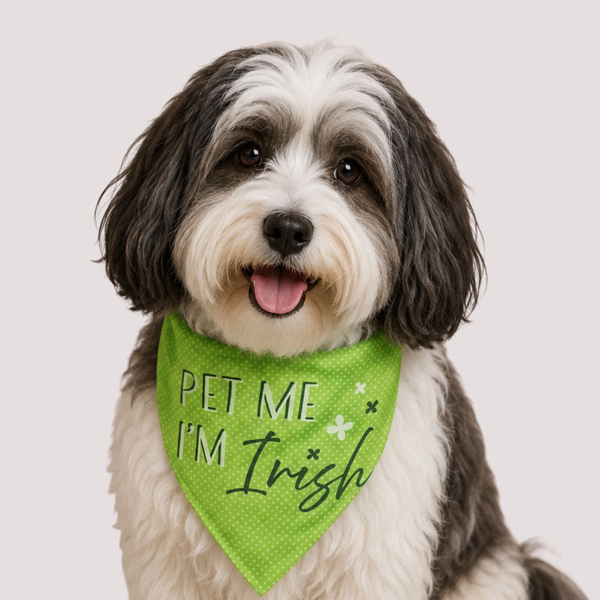Pet Me I'm Irish Pet Bandana
