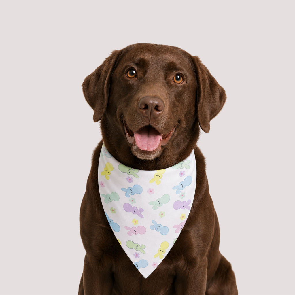 Easter Bunny Pet Bandana
