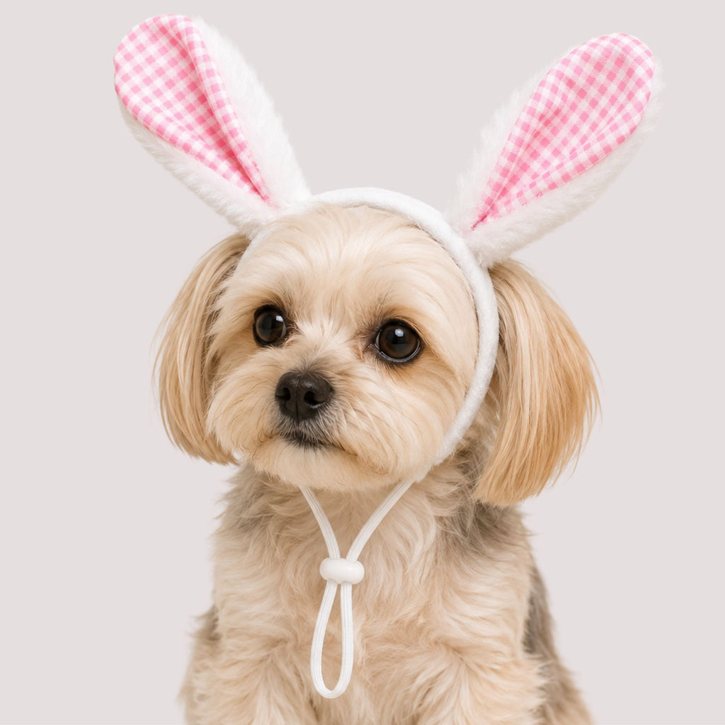 Bunny Ear Pet Headband