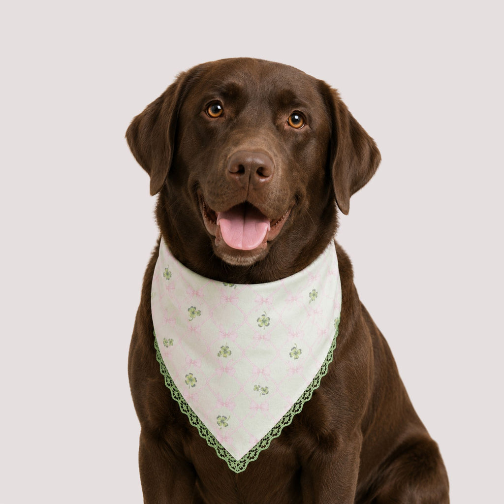 Clover & Bow Pet Bandana