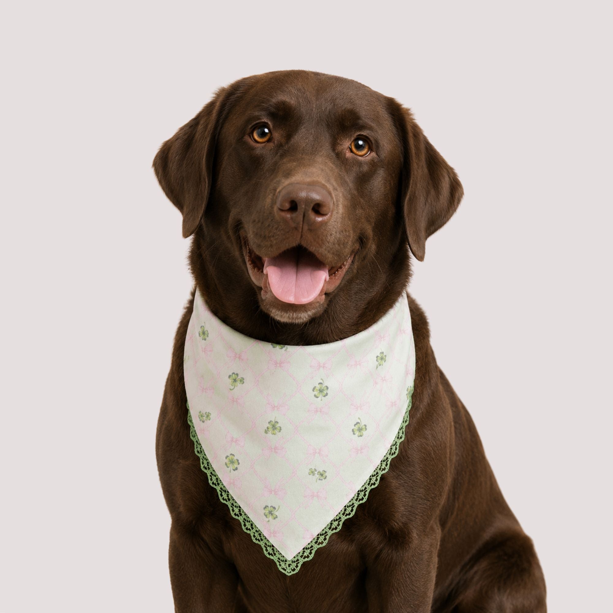 Clover & Bow Pet Bandana