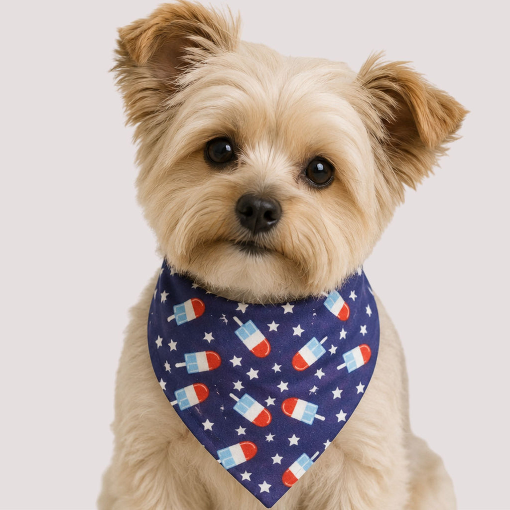 Popsicle Pet Bandana