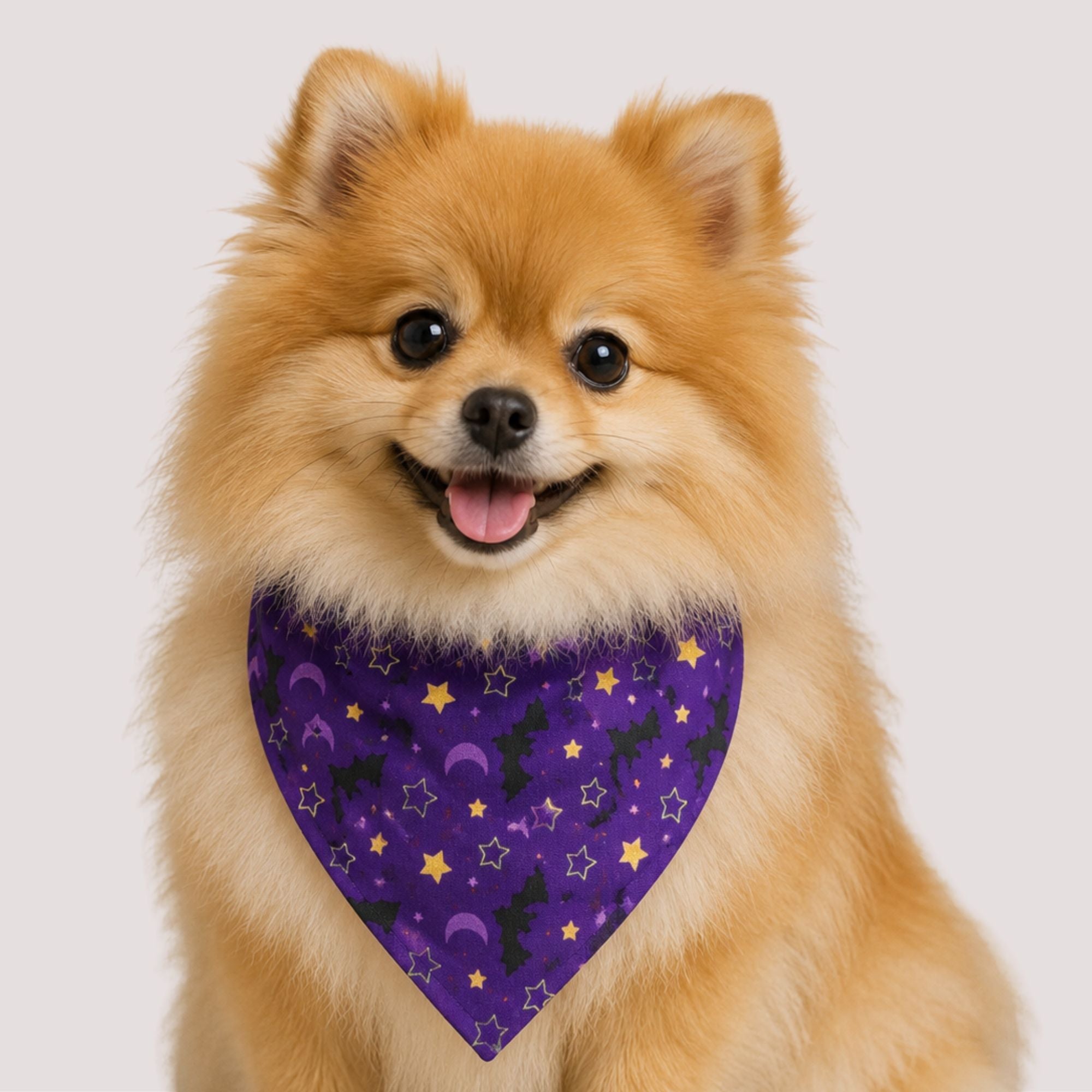 Purple Bat Pet Bandana