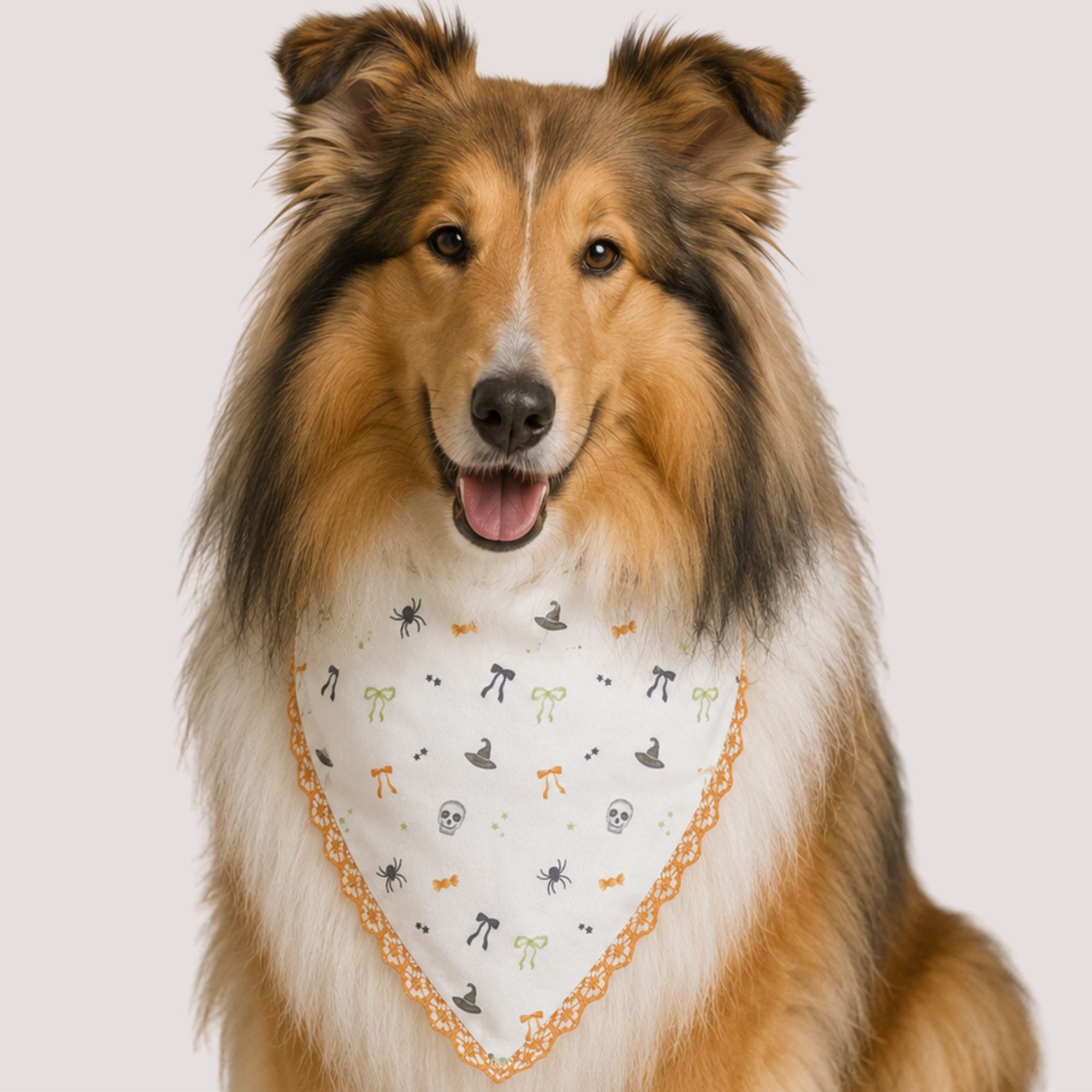 Skull & Bow Pet Bandana